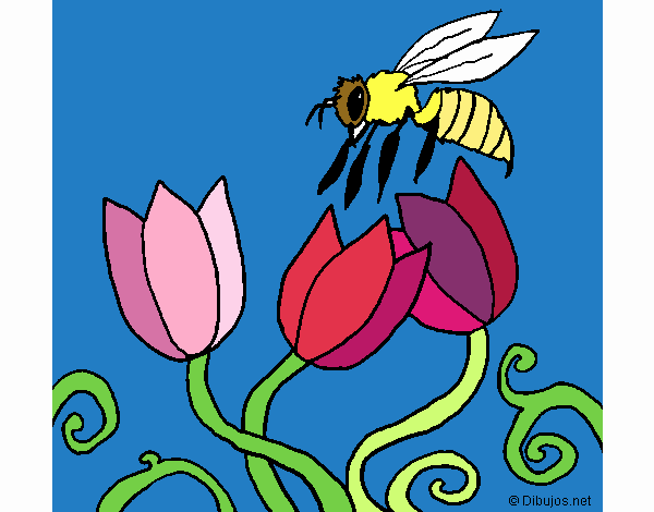 Abeja 3