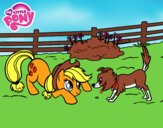 Applejack y Winona