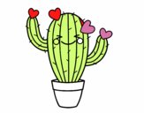 Cactus corazón