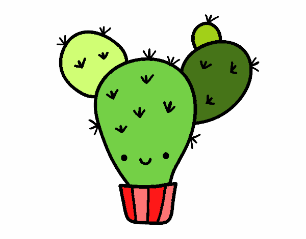 Cactus nopal