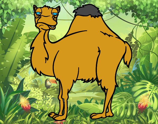 El camello 
