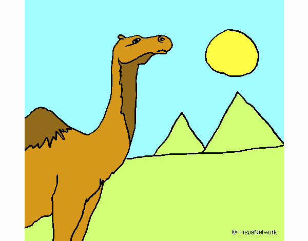 Dibujo de Camello pintado por en  el día 13-05-20 a las  17:36:24. Imprime, pinta o colorea tus propios dibujos!