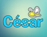 César