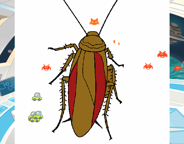 cucarachon