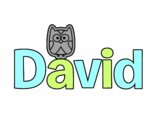 David