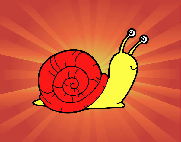 El caracol