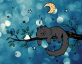 El gato y la luna