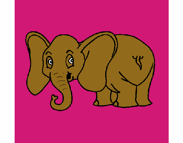 Elefante pequeño