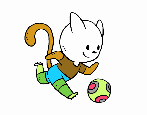 Gato jugando a fútbol