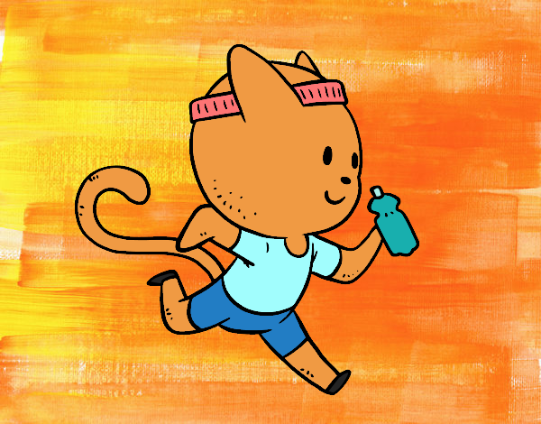 Gato runner