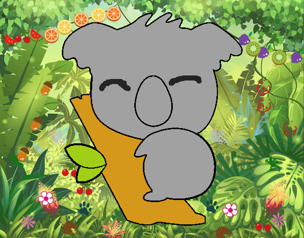 Koala bebé