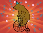 Oso en bicicleta