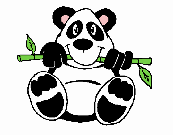 oso panda