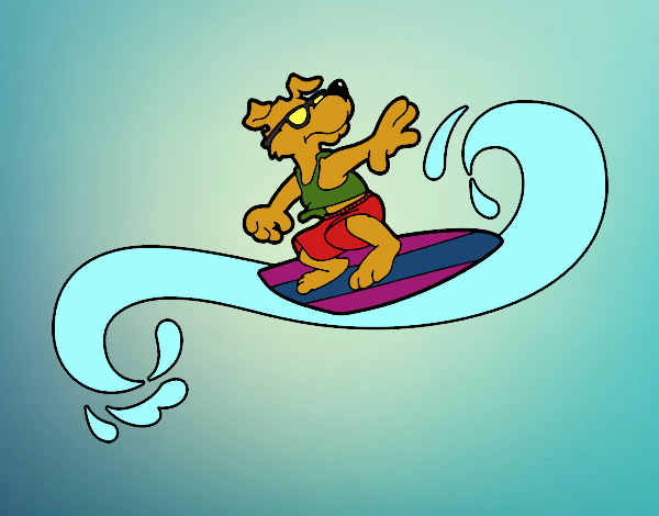 Perro surfeando