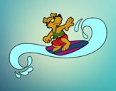 Perro surfeando