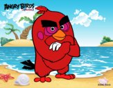 Red de Angry Birds