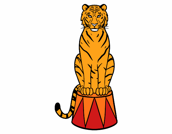 Tigre de circo