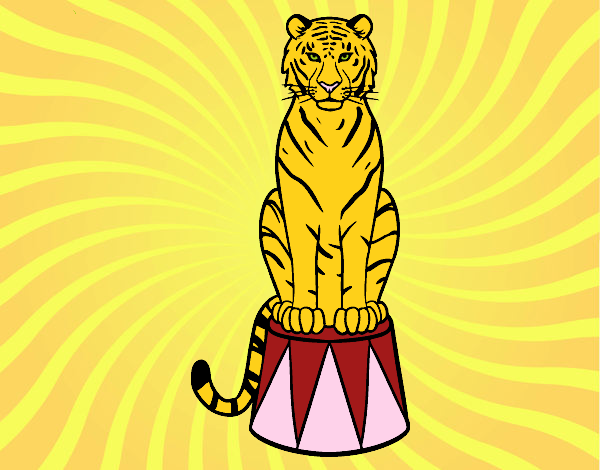 Tigre de circo