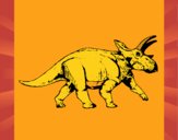 Triceratops 1