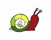 Un caracol