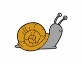 Un caracol