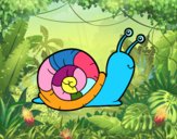 Un caracol