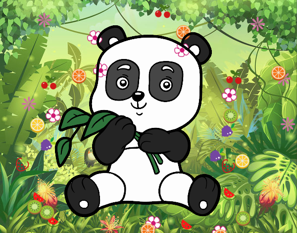 Un oso panda