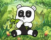 Un oso panda