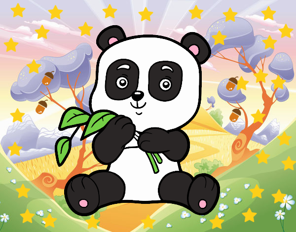 el oso panda