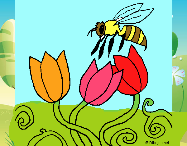 Abeja 3