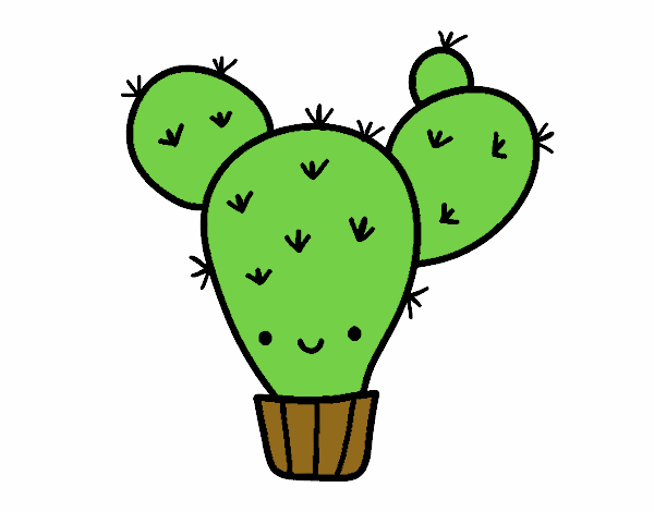 cactusito