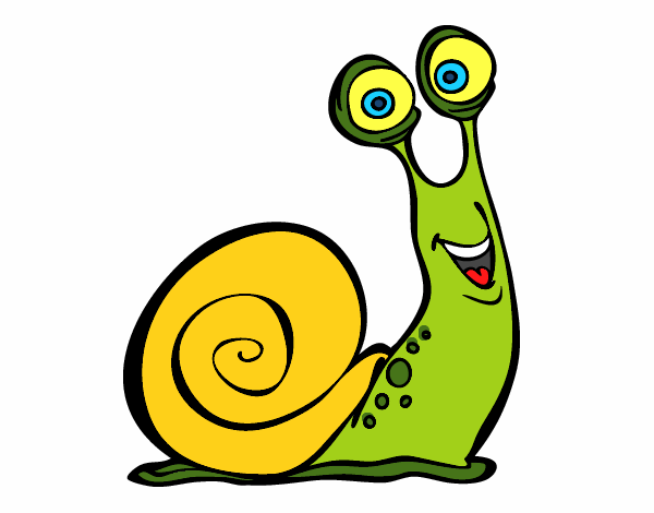 Caracol feliz