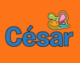 César