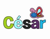 César