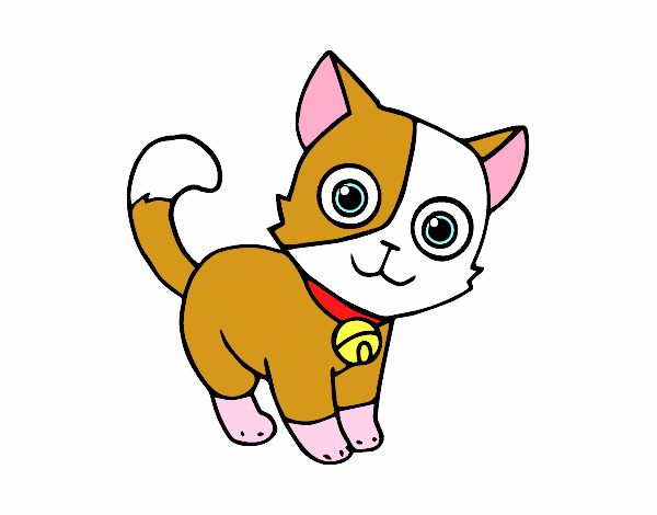 Desenho de Gato doméstico pintado e colorido por Luh22 o dia 25 de