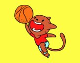 Gato jugando a baloncesto