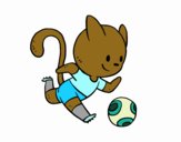 Gato jugando a fútbol