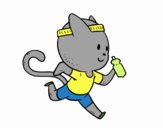 Gato runner