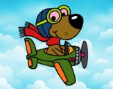 Perro piloto