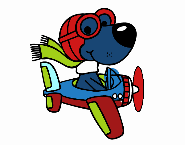 Perro piloto