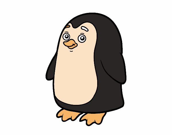 pinguino atlatico