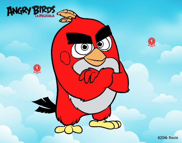 Red de Angry Birds