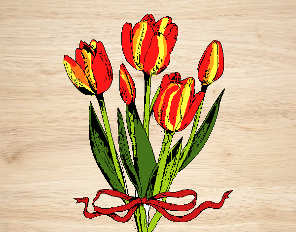 tulipanes bicolor