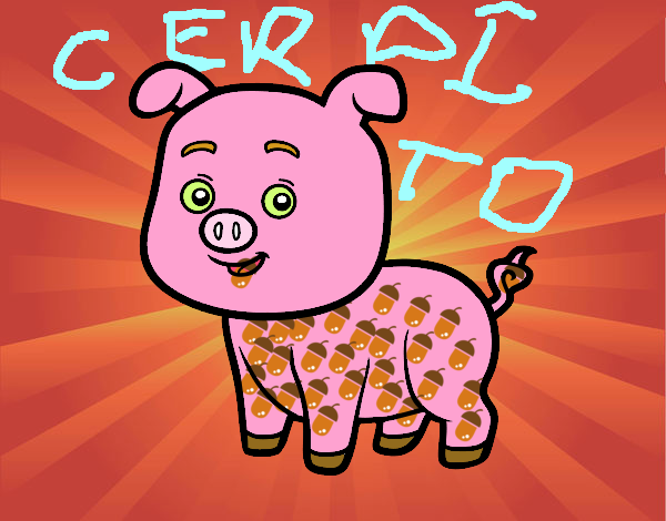 Un cerdito