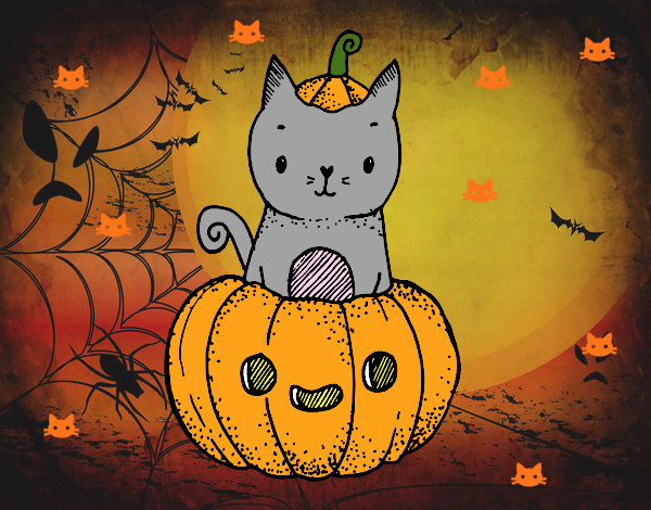 Un gatito de Halloween