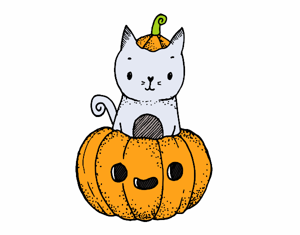 gato de halloween 