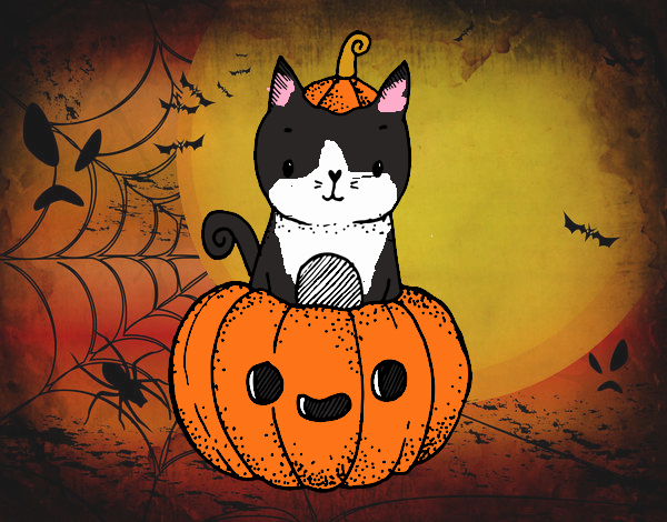 Un gatito de Halloween