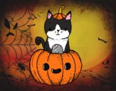 Un gatito de Halloween