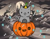 Un gatito de Halloween