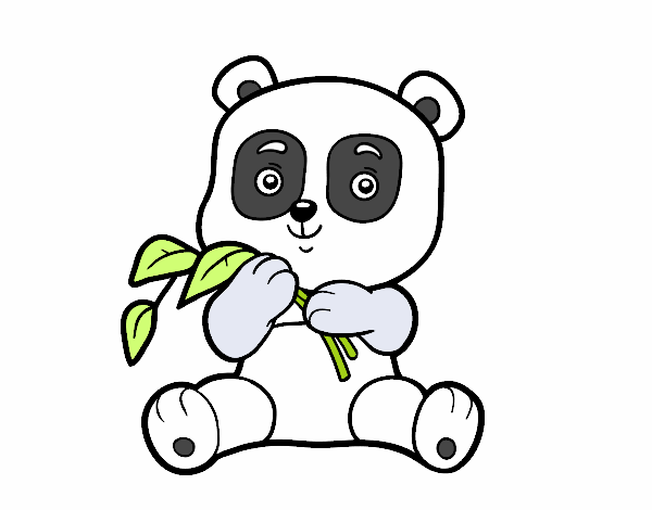 oso panda